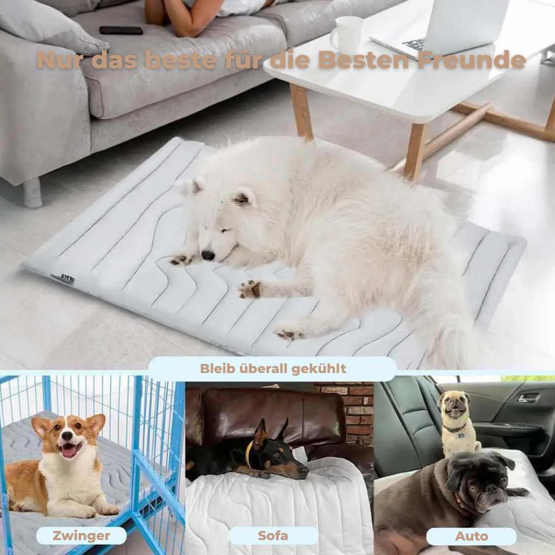 ChillPet™