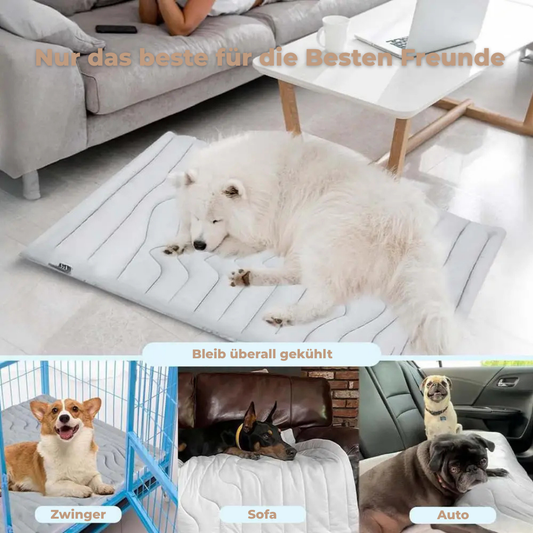 ChillPet™