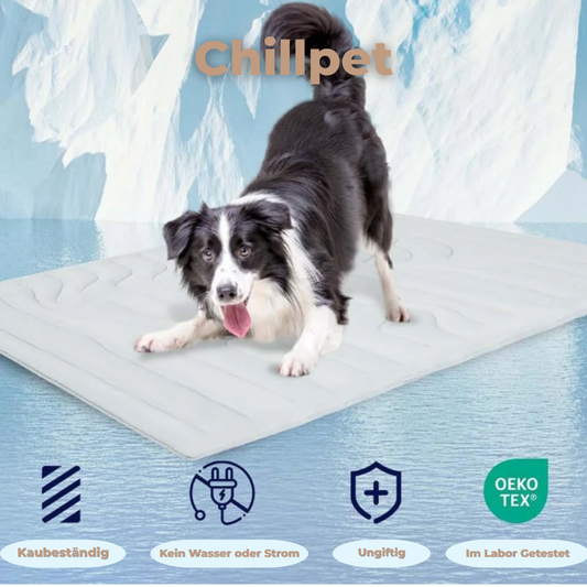 ChillPet™